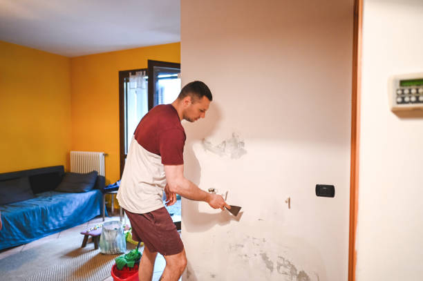 Best Professional Mold Removal  in Hayden, CO